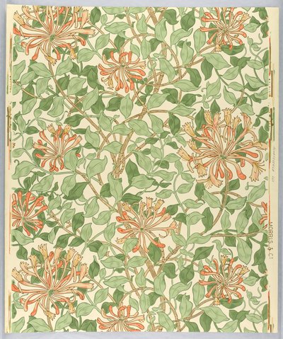 Sidewall, Honeysuckle by Unknown
